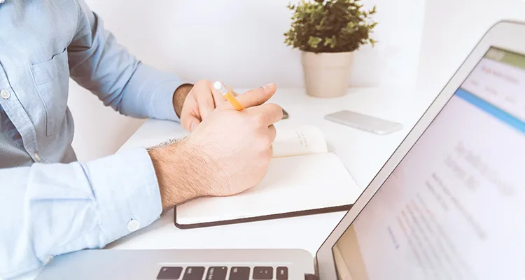 Standout New and Trending WordPress Themes - C7C7.APP